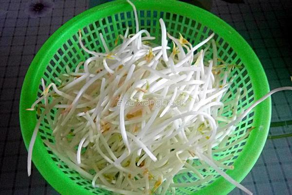 韭菜炒绿豆芽的做法图解2