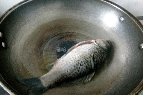 鲫鱼荷包蛋汤的做法图解4