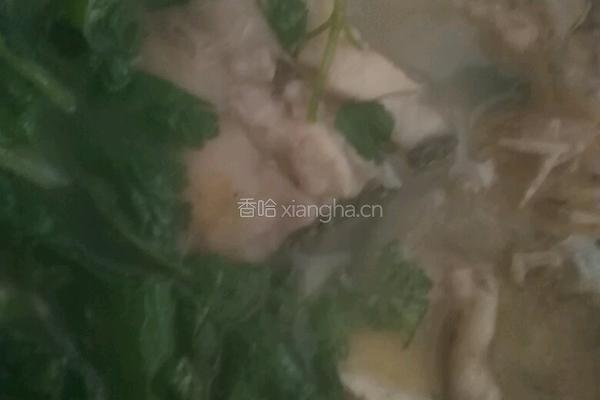 清炖全鱼的做法图解7