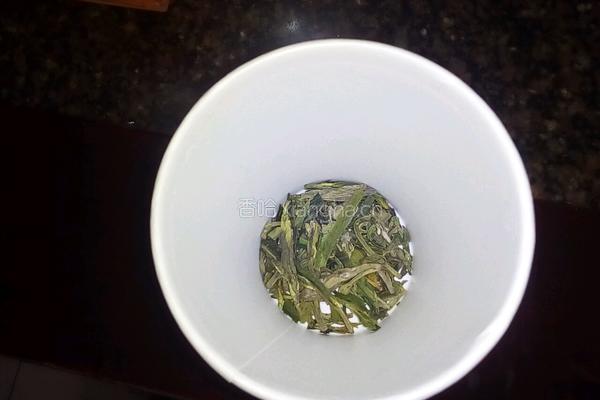清新润肺茶的做法图解2