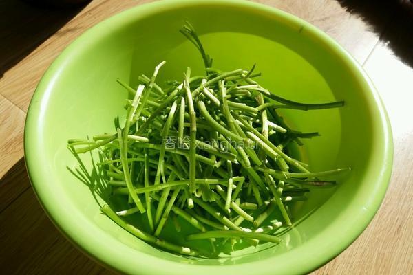 腊肠炒芦蒿的做法图解1