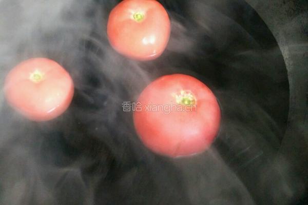 西红柿炖牛腩的做法图解4