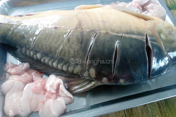 红烧鲤鱼的做法图解2