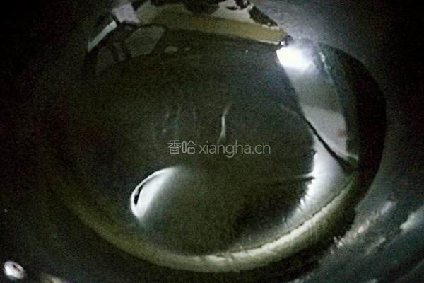 腊肠土豆丝的做法图解4