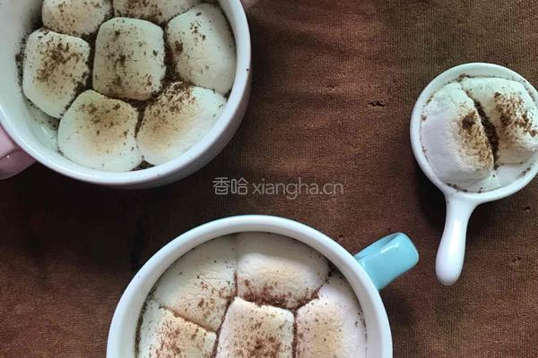 烤棉花糖的做法图解5