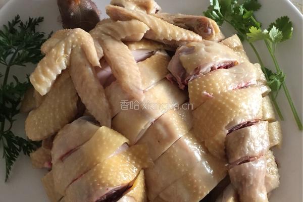 盐水鸡的做法图解3