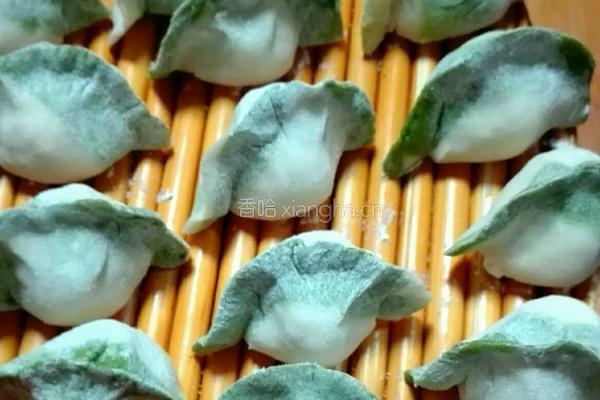 百财水饺的做法图解4
