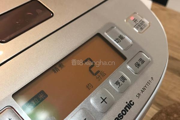 黯然销魂豆角炖肉盖饭的做法图解10