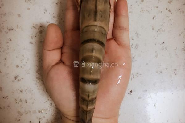 手打虾滑的做法图解2