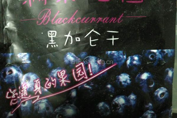 黑加仑曲奇饼干（半糖)的做法图解2