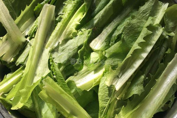 鲮鱼油麦菜的做法图解1