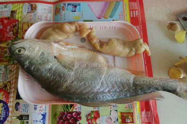 红烧深海大黄鱼的做法图解2
