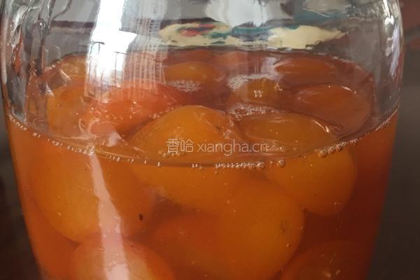 蜜制金桔的做法图解9