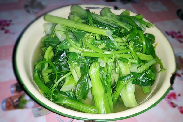青灼菜心