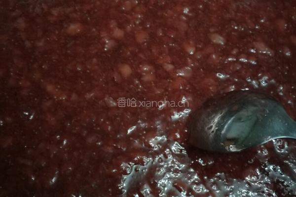 自制草莓酱的做法图解7