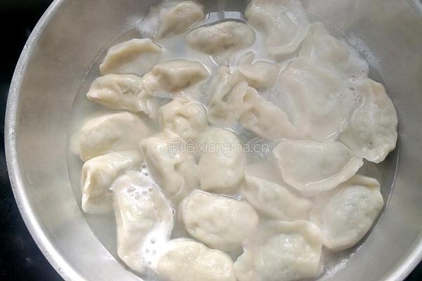 韭菜猪肉水饺的做法图解16