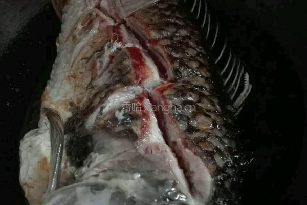 家常红烧鲤鱼的做法图解4