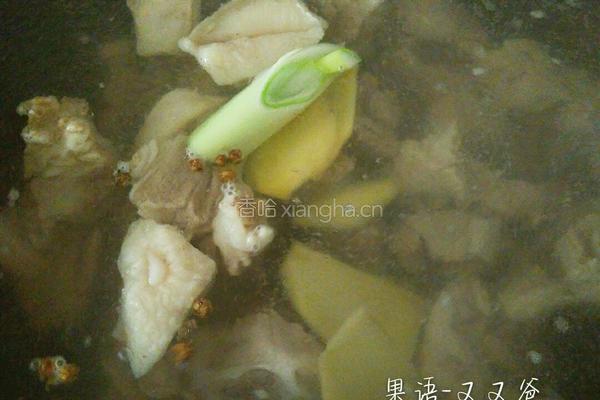 清炖羊肉萝卜汤的做法图解8