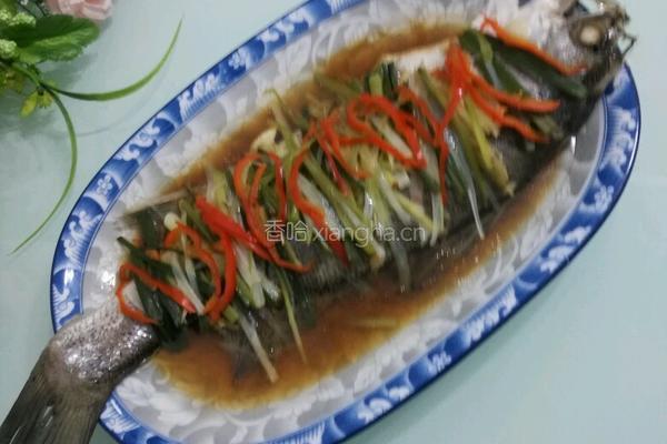 清蒸海鲈鱼