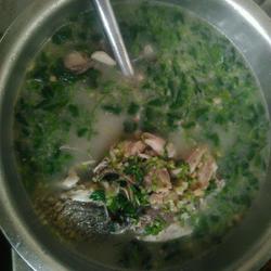 鲜鲤鱼汤的做法[图]