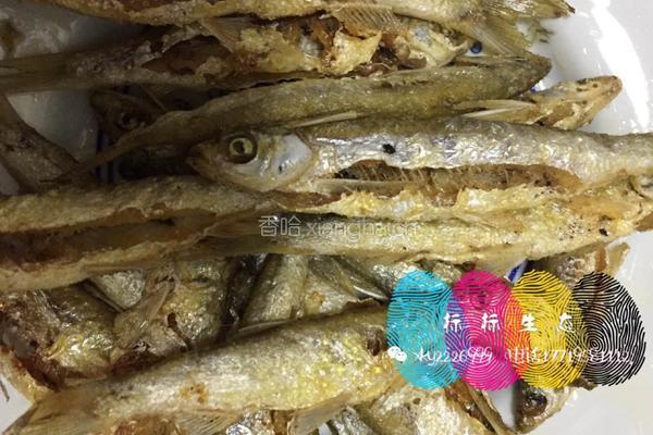 秘制翘嘴鱼的做法图解7