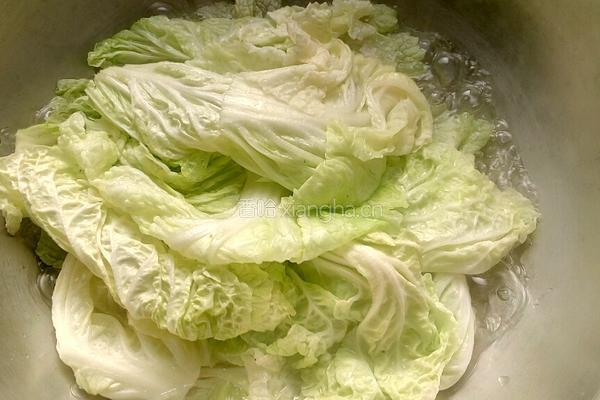 白菜肉卷的做法图解3