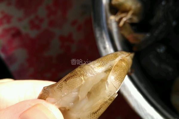 油爆虾的做法图解2