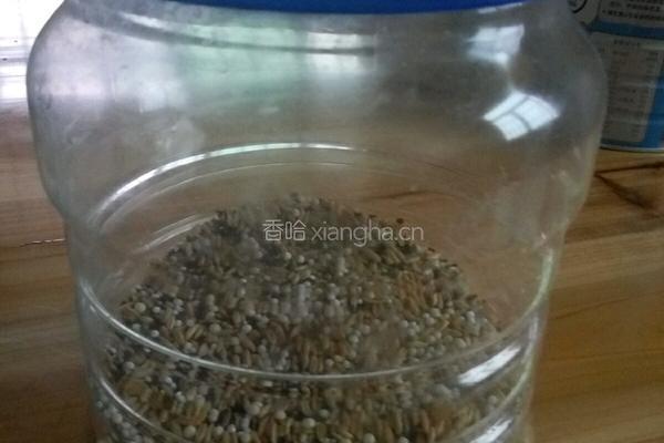黑芝麻杂粮米糊的做法图解1