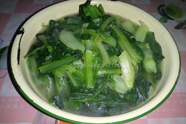 水煮油麦菜