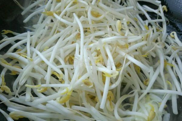 春卷素菜的做法图解8