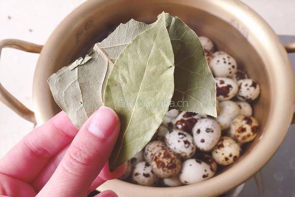香卤鹌鹑蛋的做法图解5