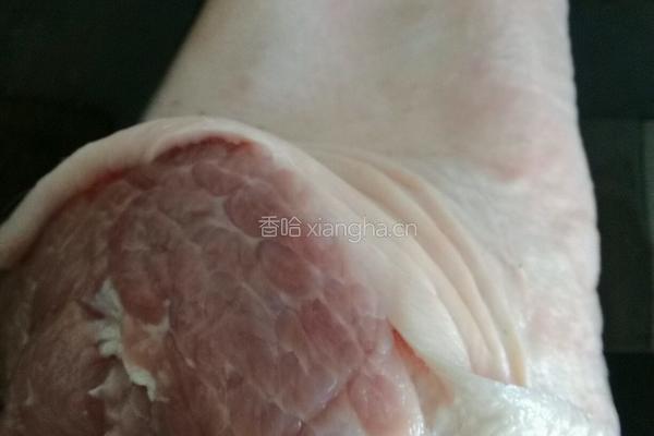 红焖四季发财肘子的做法图解1