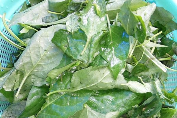 白花菜汤的做法图解1