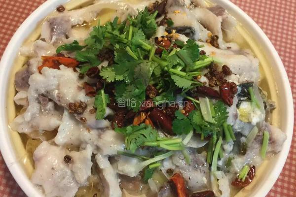 酸菜鱼的做法图解7