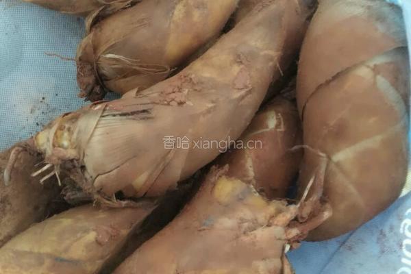 咸肉冬笋煮年糕的做法图解2