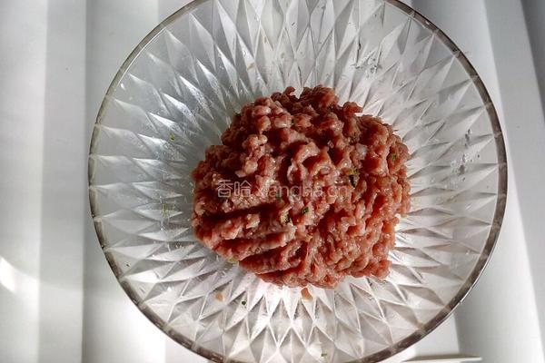 白萝卜丝牛肉丸子的做法图解5