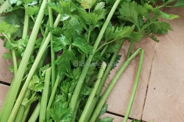 凉拌芹菜的做法图解1