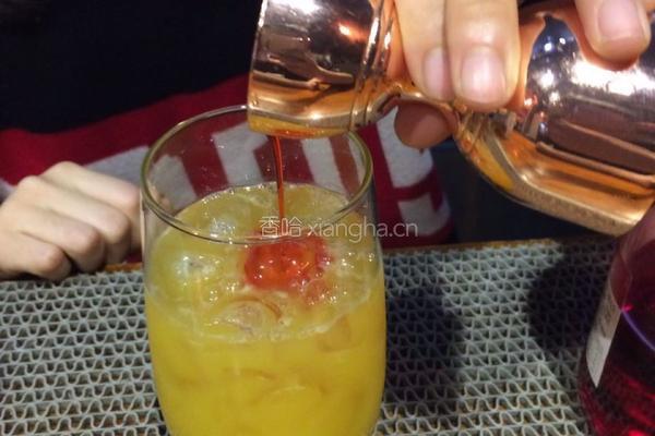 水果宾治的做法图解4