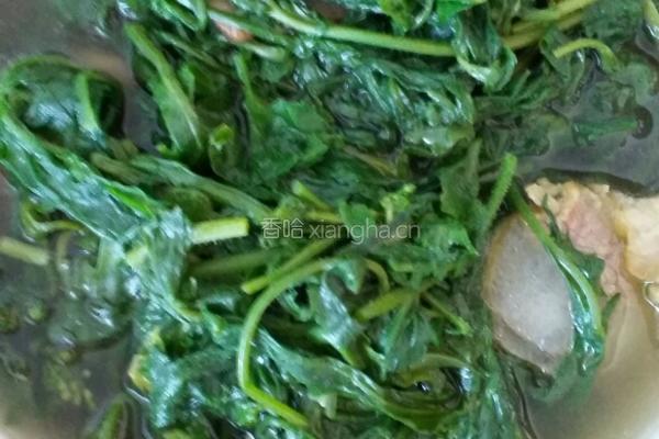 腊肉煮荠荠菜的做法图解7