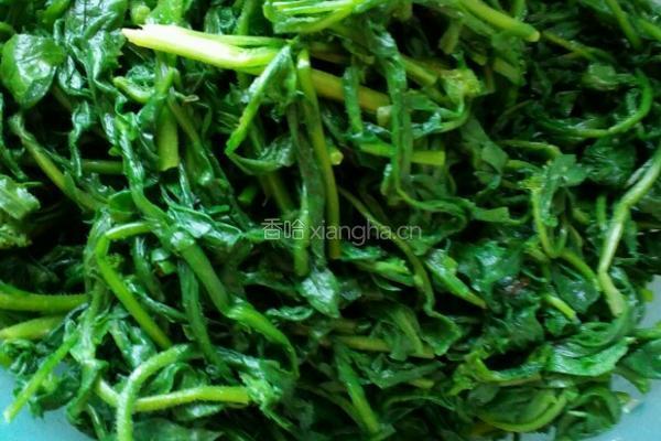 腊肉煮荠荠菜的做法图解4