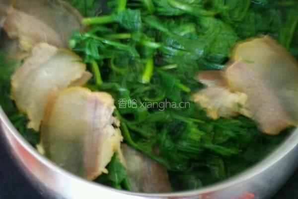 腊肉煮荠荠菜的做法图解6