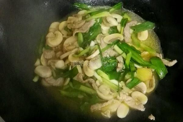 蘑菇炒肉的做法图解8