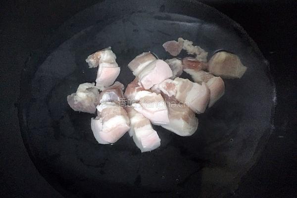 猪肉炖粉条的做法图解3