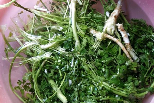 芫荽豆腐汤的做法图解1