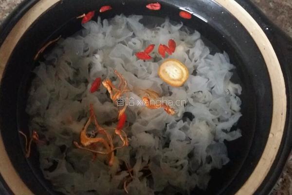 春季养生汤虫草花金桔炖银耳的做法图解4