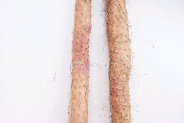 清新玫瑰的做法图解2