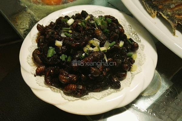 香炸蝉蜕的做法图解3