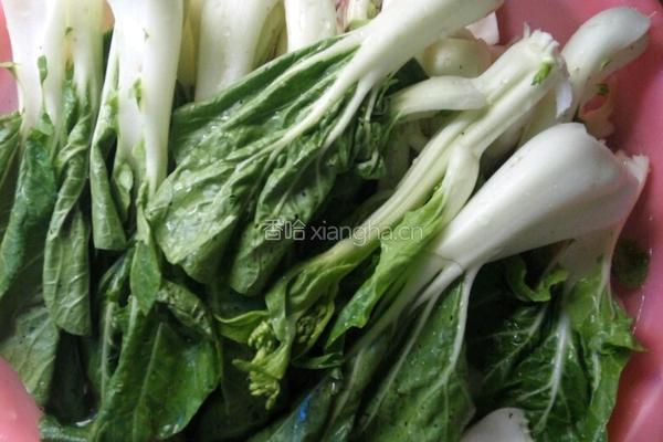 蜜枣白菜汤的做法图解1