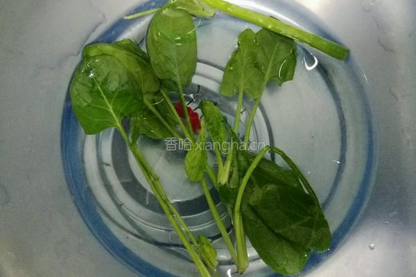 五彩鲜虾减肥面的做法图解5