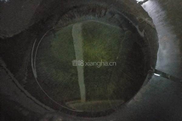蒜苗鸡蛋炒米的做法图解5